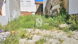 Terreno Rstico T0 - Ereira, Montemor-o-Velho, Coimbra - Miniatura: 4/27