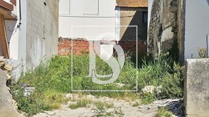 Terreno Rstico T0 - Ereira, Montemor-o-Velho, Coimbra - Miniatura: 5/27