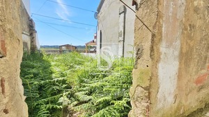 Terreno Rstico T0 - Ereira, Montemor-o-Velho, Coimbra - Miniatura: 10/27