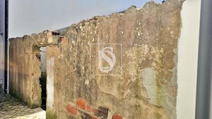 Terreno Rstico T0 - Ereira, Montemor-o-Velho, Coimbra - Miniatura: 14/27
