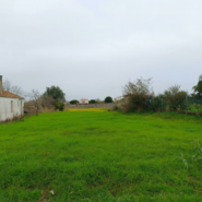 Terreno R�stico - Lavos, Figueira da Foz, Coimbra - Miniatura: 2/5