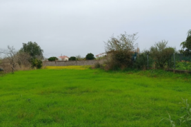 Terreno R�stico - Lavos, Figueira da Foz, Coimbra - Miniatura: 3/5