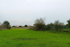 Terreno R�stico - Lavos, Figueira da Foz, Coimbra - Miniatura: 4/5