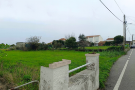Terreno R�stico - Lavos, Figueira da Foz, Coimbra - Miniatura: 5/5