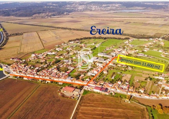 Terreno Rústico T0 - Ereira, Montemor-o-Velho, Coimbra - Imagem grande