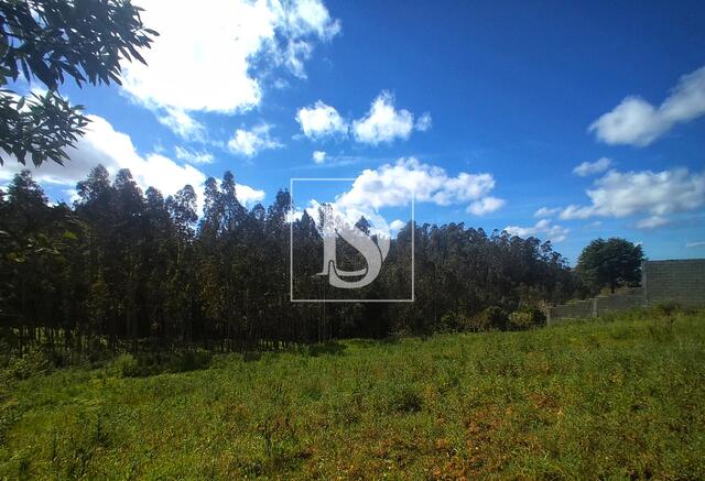 Terreno R�stico - Maiorca, Figueira da Foz, Coimbra - Imagem grande