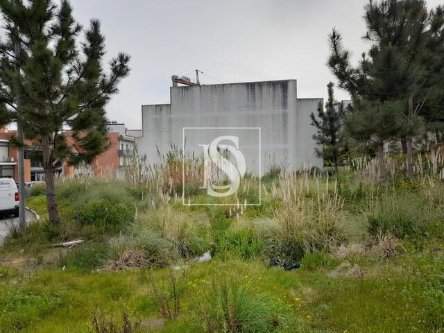 Terreno R�stico - Tavarede, Figueira da Foz, Coimbra - Imagem grande