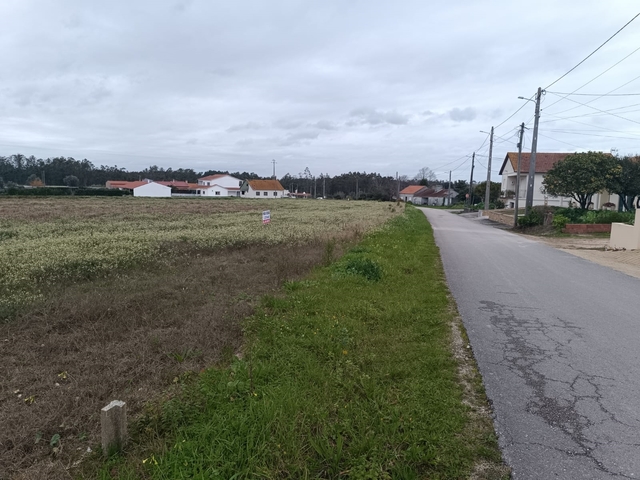 Terreno R�stico - Louri�al, Pombal, Leiria - Imagem grande