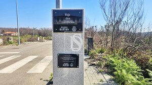 Terreno Rstico T0 - Valongo do Vouga, gueda, Aveiro - Miniatura: 3/29