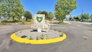 Terreno Rstico T0 - Valongo do Vouga, gueda, Aveiro - Miniatura: 4/29