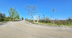 Terreno Rstico T0 - Valongo do Vouga, gueda, Aveiro - Miniatura: 11/29