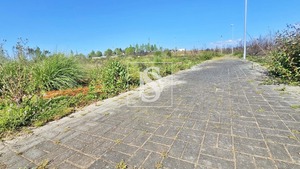 Terreno Rstico T0 - Valongo do Vouga, gueda, Aveiro - Miniatura: 13/29