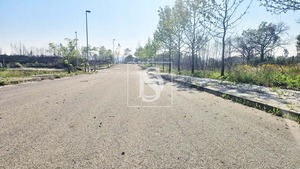 Terreno Rstico T0 - Valongo do Vouga, gueda, Aveiro - Miniatura: 16/29