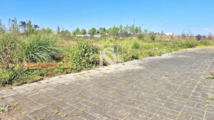 Terreno Rstico T0 - Valongo do Vouga, gueda, Aveiro - Miniatura: 19/29