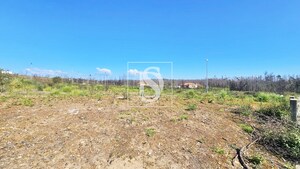 Terreno Rstico T0 - Valongo do Vouga, gueda, Aveiro - Miniatura: 20/29