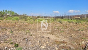 Terreno Rstico T0 - Valongo do Vouga, gueda, Aveiro - Miniatura: 22/29
