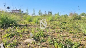 Terreno Rstico T0 - Valongo do Vouga, gueda, Aveiro - Miniatura: 23/29