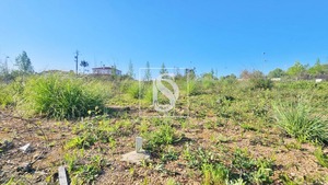 Terreno Rstico T0 - Valongo do Vouga, gueda, Aveiro - Miniatura: 24/29
