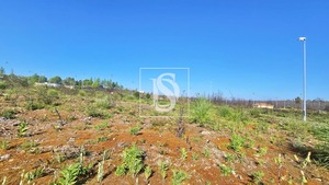 Terreno Rstico T0 - Valongo do Vouga, gueda, Aveiro - Miniatura: 25/29