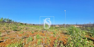 Terreno Rstico T0 - Valongo do Vouga, gueda, Aveiro - Miniatura: 26/29