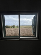 Moradia T1 - Ereira, Montemor-o-Velho, Coimbra - Miniatura: 19/24