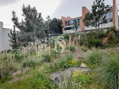 Terreno R�stico - Tavarede, Figueira da Foz, Coimbra - Miniatura: 7/7