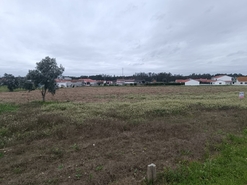 Terreno R�stico - Louri�al, Pombal, Leiria - Miniatura: 1/5