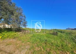 Terreno R�stico - Alqueid�o, Figueira da Foz, Coimbra