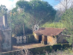 Moradia T2 - Moinhos da Gndara, Figueira da Foz, Coimbra - Miniatura: 4/31