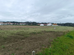 Terreno R�stico - Louri�al, Pombal, Leiria - Miniatura: 5/5