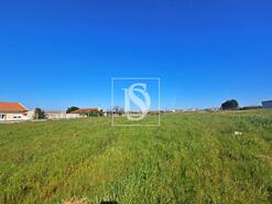 Terreno R�stico - Alqueid�o, Figueira da Foz, Coimbra - Miniatura: 1/26