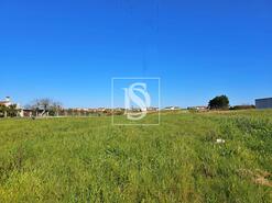 Terreno R�stico - Alqueid�o, Figueira da Foz, Coimbra - Miniatura: 2/26