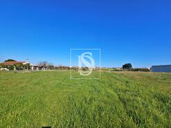 Terreno R�stico - Alqueid�o, Figueira da Foz, Coimbra - Miniatura: 3/26