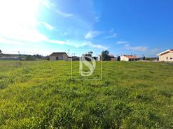 Terreno R�stico - Alqueid�o, Figueira da Foz, Coimbra - Miniatura: 4/26