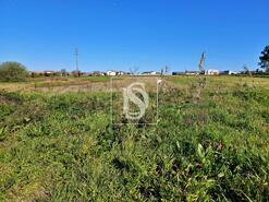 Terreno R�stico - Alqueid�o, Figueira da Foz, Coimbra - Miniatura: 5/26