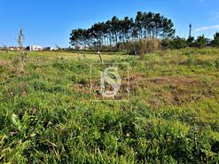 Terreno R�stico - Alqueid�o, Figueira da Foz, Coimbra - Miniatura: 6/26