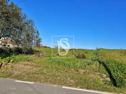 Terreno R�stico - Alqueid�o, Figueira da Foz, Coimbra - Miniatura: 7/26