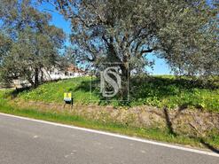Terreno R�stico - Alqueid�o, Figueira da Foz, Coimbra - Miniatura: 8/26