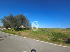 Terreno R�stico - Alqueid�o, Figueira da Foz, Coimbra - Miniatura: 11/26