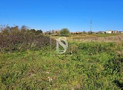 Terreno R�stico - Alqueid�o, Figueira da Foz, Coimbra - Miniatura: 13/26