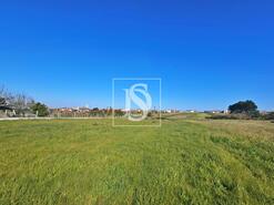Terreno R�stico - Alqueid�o, Figueira da Foz, Coimbra - Miniatura: 14/26