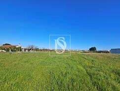 Terreno R�stico - Alqueid�o, Figueira da Foz, Coimbra - Miniatura: 15/26
