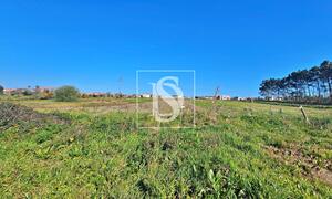 Terreno R�stico - Alqueid�o, Figueira da Foz, Coimbra - Miniatura: 17/26