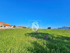 Terreno R�stico - Alqueid�o, Figueira da Foz, Coimbra - Miniatura: 18/26
