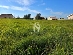 Terreno R�stico - Alqueid�o, Figueira da Foz, Coimbra - Miniatura: 19/26