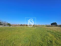 Terreno R�stico - Alqueid�o, Figueira da Foz, Coimbra - Miniatura: 21/26
