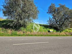 Terreno R�stico - Alqueid�o, Figueira da Foz, Coimbra - Miniatura: 22/26