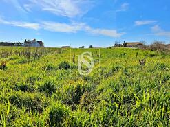 Terreno R�stico - Alqueid�o, Figueira da Foz, Coimbra - Miniatura: 23/26