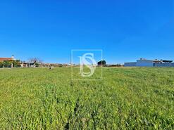 Terreno R�stico - Alqueid�o, Figueira da Foz, Coimbra - Miniatura: 24/26