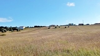 Terreno R�stico - Maiorca, Figueira da Foz, Coimbra - Imagem grande